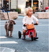 Kinderfeets Fahrradkiste aus Holz-3
