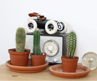 Playforever Rennwagen Rufus Weller - langlebiges Design Spielzeugauto-2