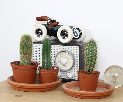 Playforever Rennwagen Rufus Weller - langlebiges Design Spielzeugauto-2