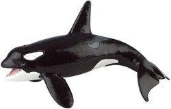 Bullyland Orca Wal Spielfigur - Lernspielzeug - Schwertwal Figur