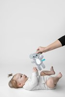 Mom's Care Baby Schmusetuch Koala mit Knistergeräusch und weichem Stoff-2