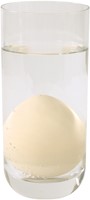Growing eggs dinosaurs-2