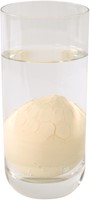 Growing eggs dinosaurs-3