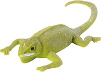 Lizard with colour change-3