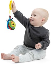 Baby Einstein Sensorik Spielzeug Buggy - Touch of Nature - mehrfarbig