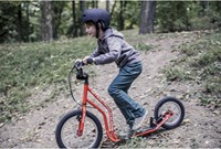 Eduplay Lernspielzeug Afternoon care Roller rot Karton-3