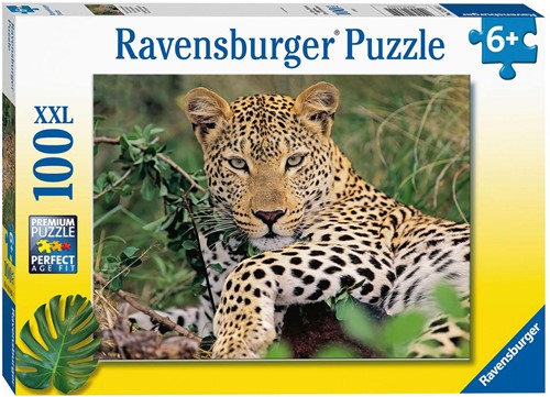 Ravensburger Luipaard