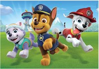 Clementoni Puzzle Paw Patrol - 2x20 Teile Karton Kinderpuzzle-3
