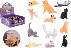 36 Haustiere der Tierwelt in Disp.26870