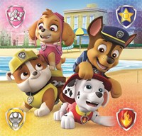 Clementoni Legpuzzel Super Color Vierkant PAW Patrol, 3x48st.-2