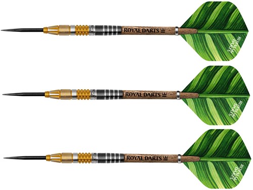 Royal Darts Steeldartpfeile Green Line 21 Gramm NT95 Präzision