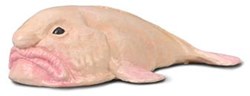 Collecta Blobfisch Spielfigur - realistische Meerestier Miniatur