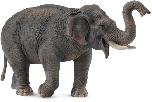 COLLECTA Asiatischer Elefant - (XL)-2