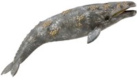 COLLECTA Grauwal - (XL)