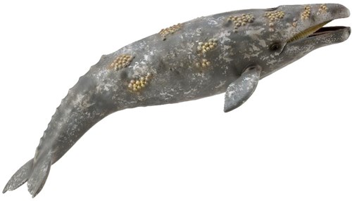 COLLECTA Grauwal - (XL)-2