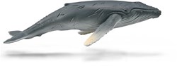 COLLECTA Buckelwal Kalb - (M)