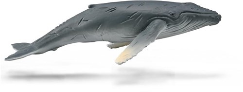 COLLECTA Buckelwal Kalb - (M)