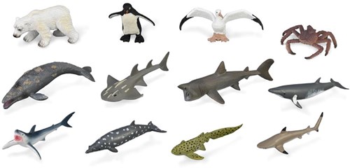 COLLECTA-Set mit 12 Meerestieren-2