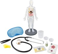 Buki menschlicher Körper Lernspielzeug Anatomie Experimente Set-3