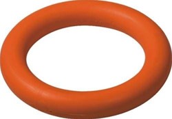 Gym Ringette Ring