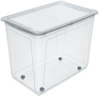 Keeeper Aufbewahrungsbox mit Rollen 63 Liter - transparent - stabile Spielzeugbox