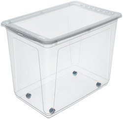 Keeeper Aufbewahrungsbox mit Rollen 63 Liter - transparent - stabile Spielzeugbox