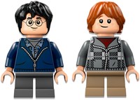 LEGO Harry Potter - Aragog in het Verboden Bos 76434-3