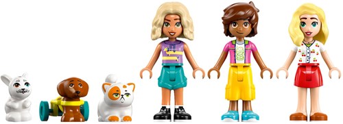 LEGO Friends 42650 Winkel met Dierenaccessoires-3