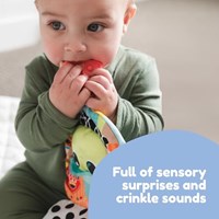 Lamaze interaktives Babybuch Finlee der Frosch mit sensorischen Aktivitäten-3