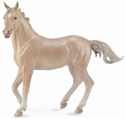 COLLECTA Achal-Tekkiner Stute Perlino - (XL)