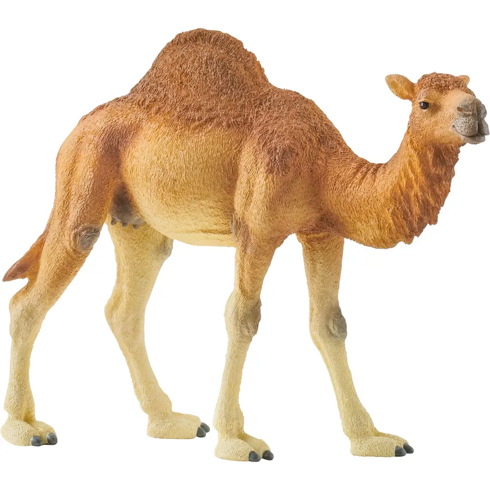 Schleich Safari - Dromedar Spielfigur 14832 Kinderspielzeug