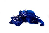 Manimo gewichtete Katze sensorisches Spielzeug für Kinder 1,5kg-2