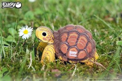 Eugy 3D Puzzle Schildkröte - nachhaltiges Kartonspielzeug-2