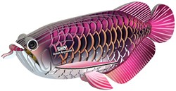 Eugy 3D-Puzzle Drachenfisch Karton umweltfreundliches Spielzeug