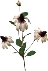Roberts Collection Kunstblume Rudbeckia 83cm Dekoblume creme