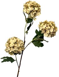 Roberts Collection Kunstblume Schneeball 90cm creme Dekoblume