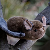 Tobar Plüsch Fledermaus Kuscheltier Naturwelt 50cm-3