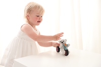Tolo Bio Push and Go Bär - nachhaltiges Lernspielzeug für Kleinkinder-3