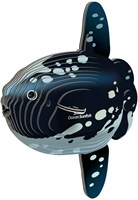 Eugy 3D Puzzle Mondfisch - buntes Bastelspielzeug aus Karton für Kinder