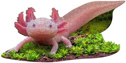 MAD CAPP Puzzle Axolotl Tierpuzzle 100 Teile Karton