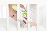 Dolce Toys Spielzeug Primo Aktivitätsanhänger Igel Henri - 21 cm-3