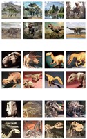Ambo Projektor Spielzeuglampe Dinosaurier grün pädagogisch USB-3