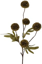Roberts Collection Kunstblume Pompom Zweig 52cm dekorativ grün