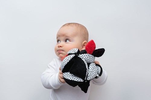 Mom's Care SOFT BABY TOYS Montessori Ball with mirror White&Black 5