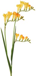 Roberts Collection Kunstblume Freesie gelb 83cm Deko Blume
