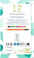 Djeco LES COULEURS DES GRANDS - CRAYONS DE COULEURS 12 crayons aquarellables - FSC 100%