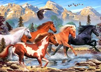 Alipson Puzzle Wild and Free - 500 Teile