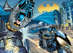 Nathan Puzzle Batman The Dark Knight 60 Teile Karton Spielzeug
