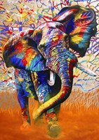 Bluebird Puzzle Jigsaw African Colours - 1000 Teile Tiere