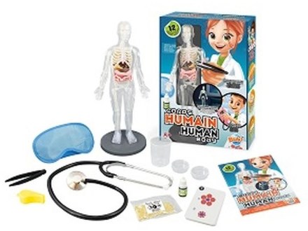 Buki menschlicher Körper Lernspielzeug Anatomie Experimente Set